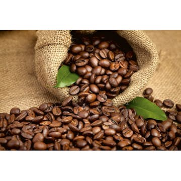 Tapet Dimex Coffee Beans