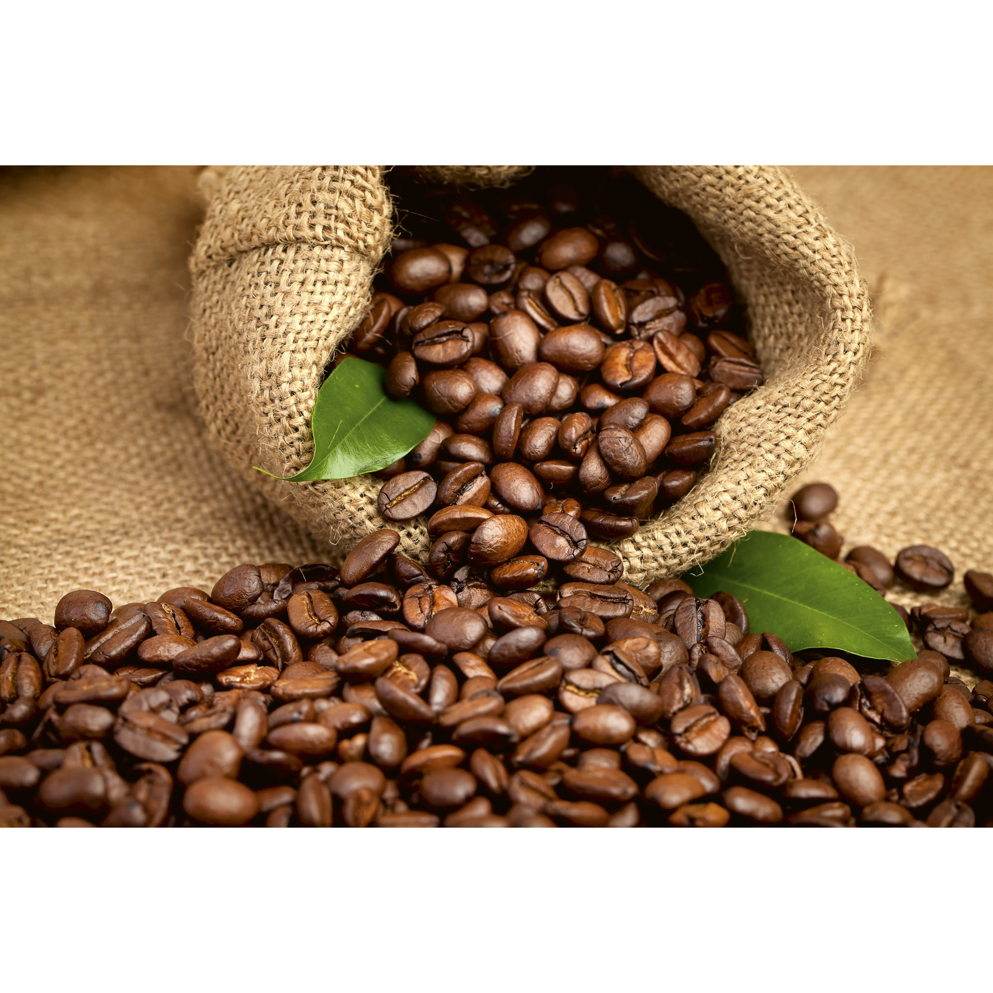 Tapet Dimex Coffee Beans