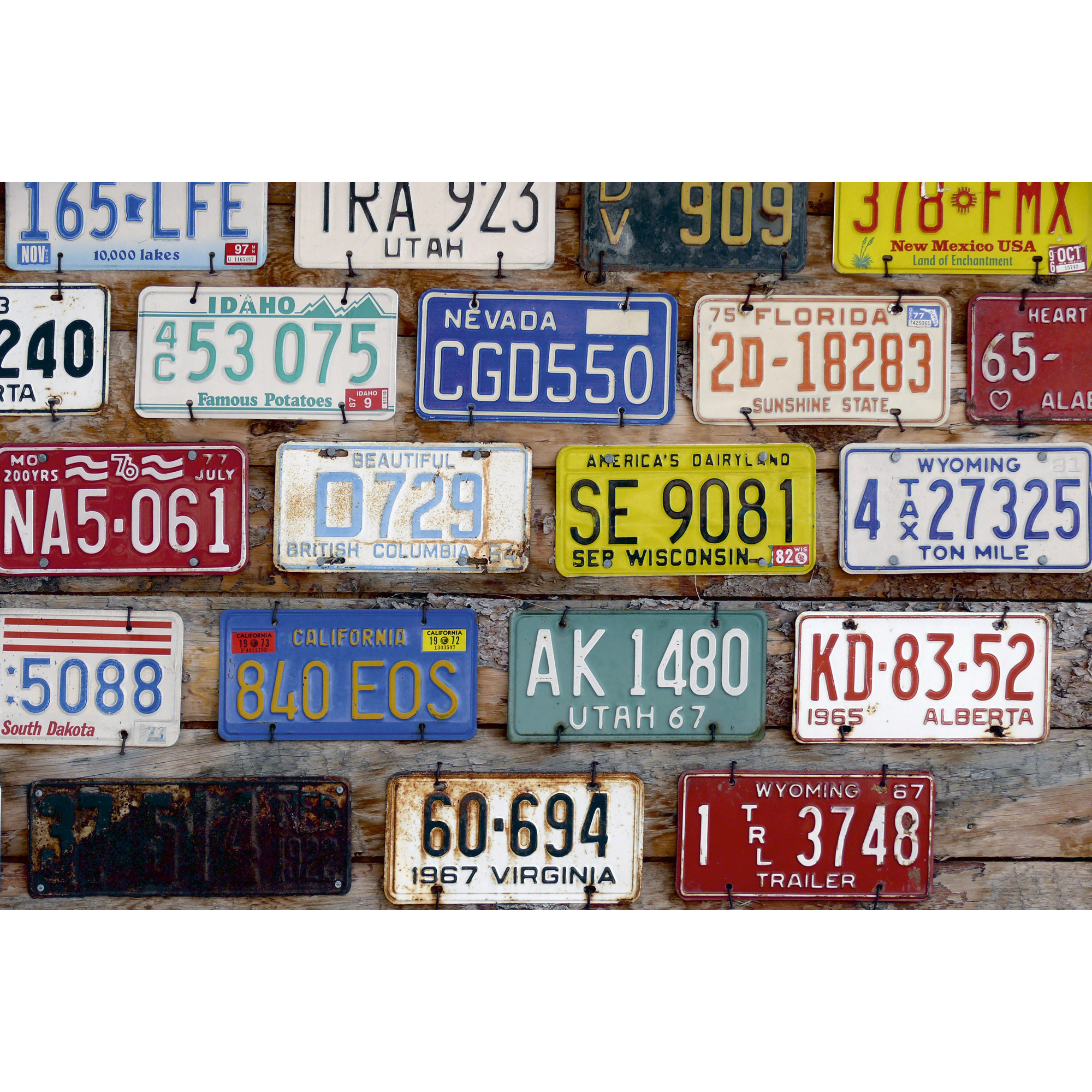 Tapet Dimex Plate Numbers