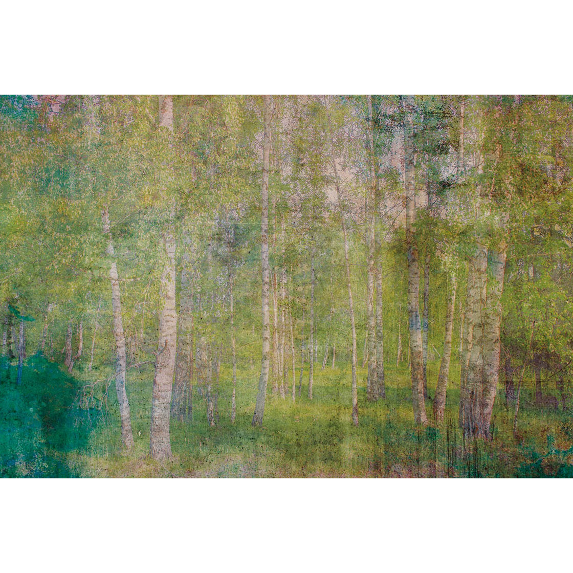 Fototapet Dimex Leaves Abstract 375x250 cm