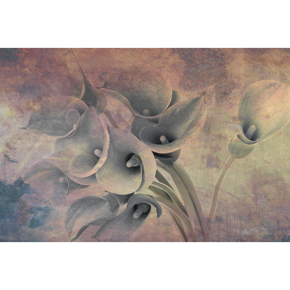 Fototapet Dimex Flower Abstract I 375x250 cm