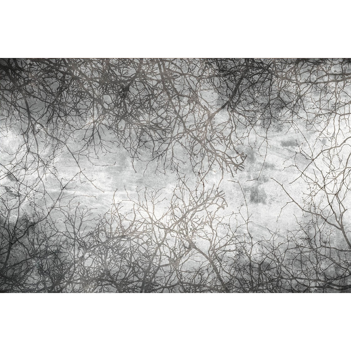 Fototapet Dimex Branch Abstract 375x250 cm