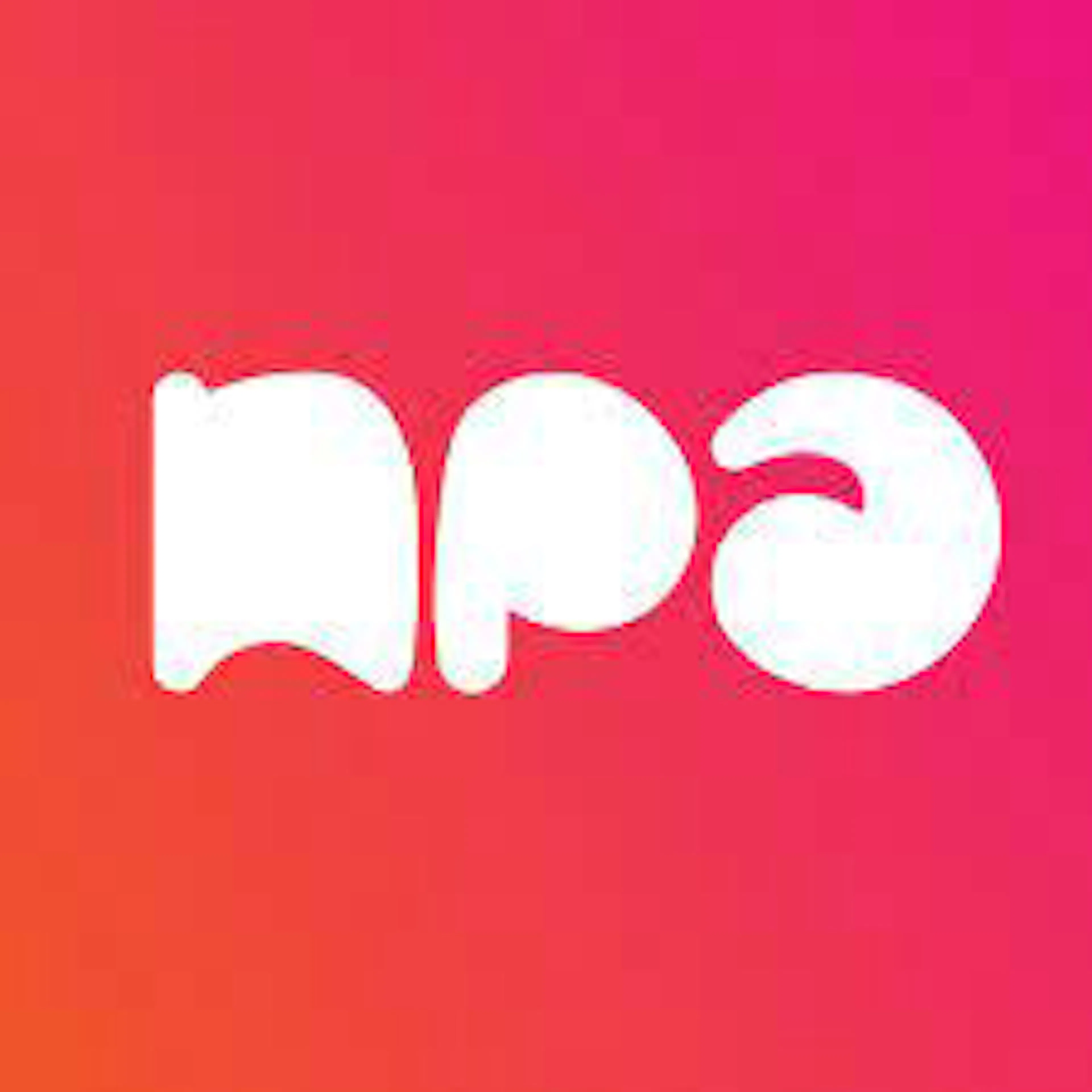 NPA Plast logo