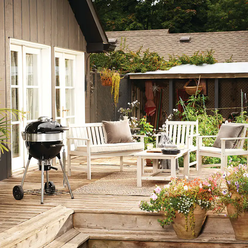 Kolgrill Napoleon Klotgrill PRO18K-L-3