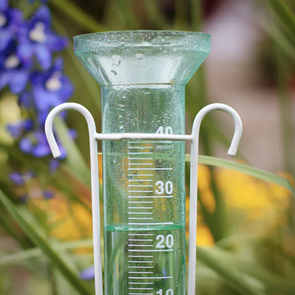 Regn & temperatur
