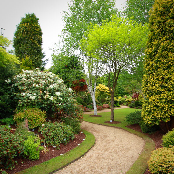 Odling & trädgårdsskötsel