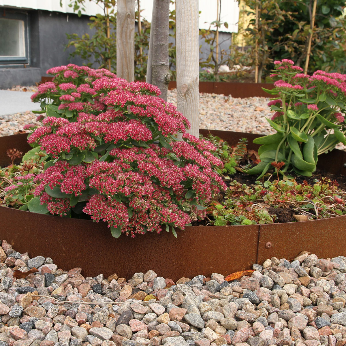 Planteringskant Flexigarden Corten 120 Cirkel