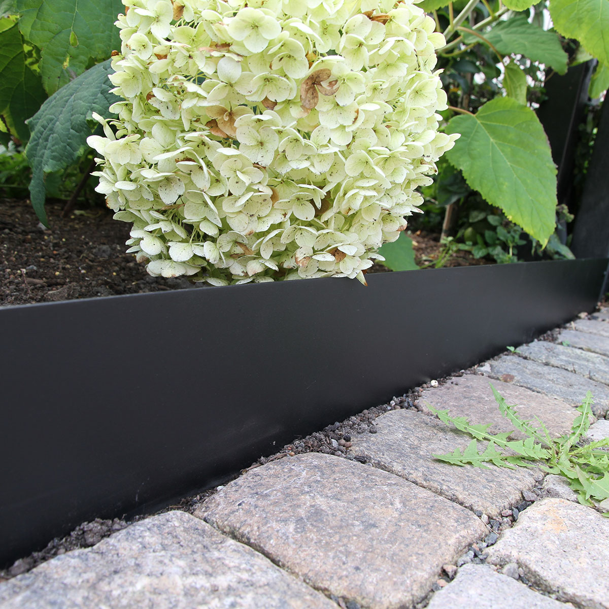 Planteringskant Flexigarden Svart 120 mm Rak