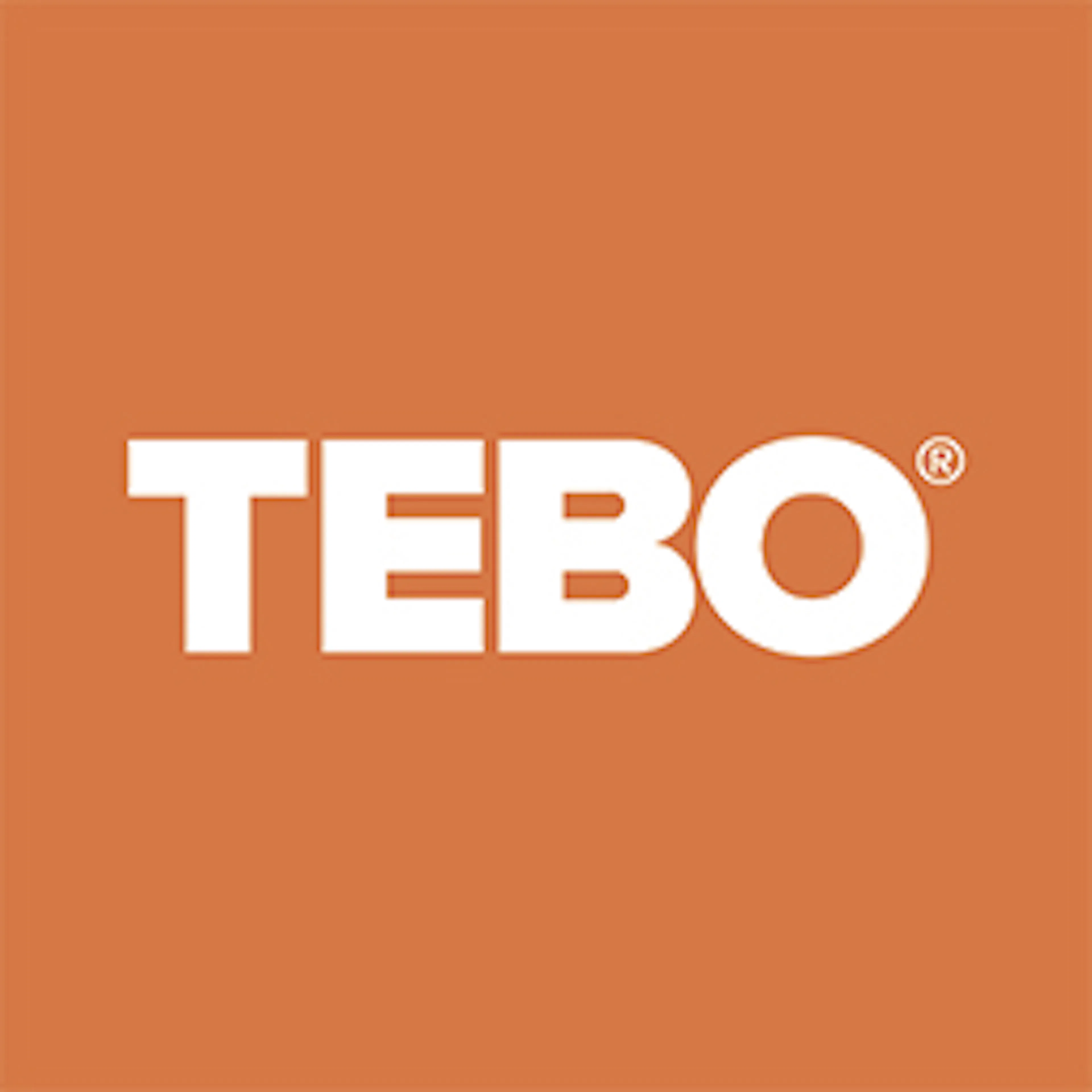 Tebo logo