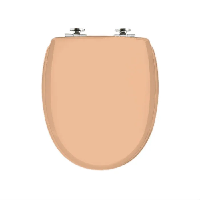 Apricot