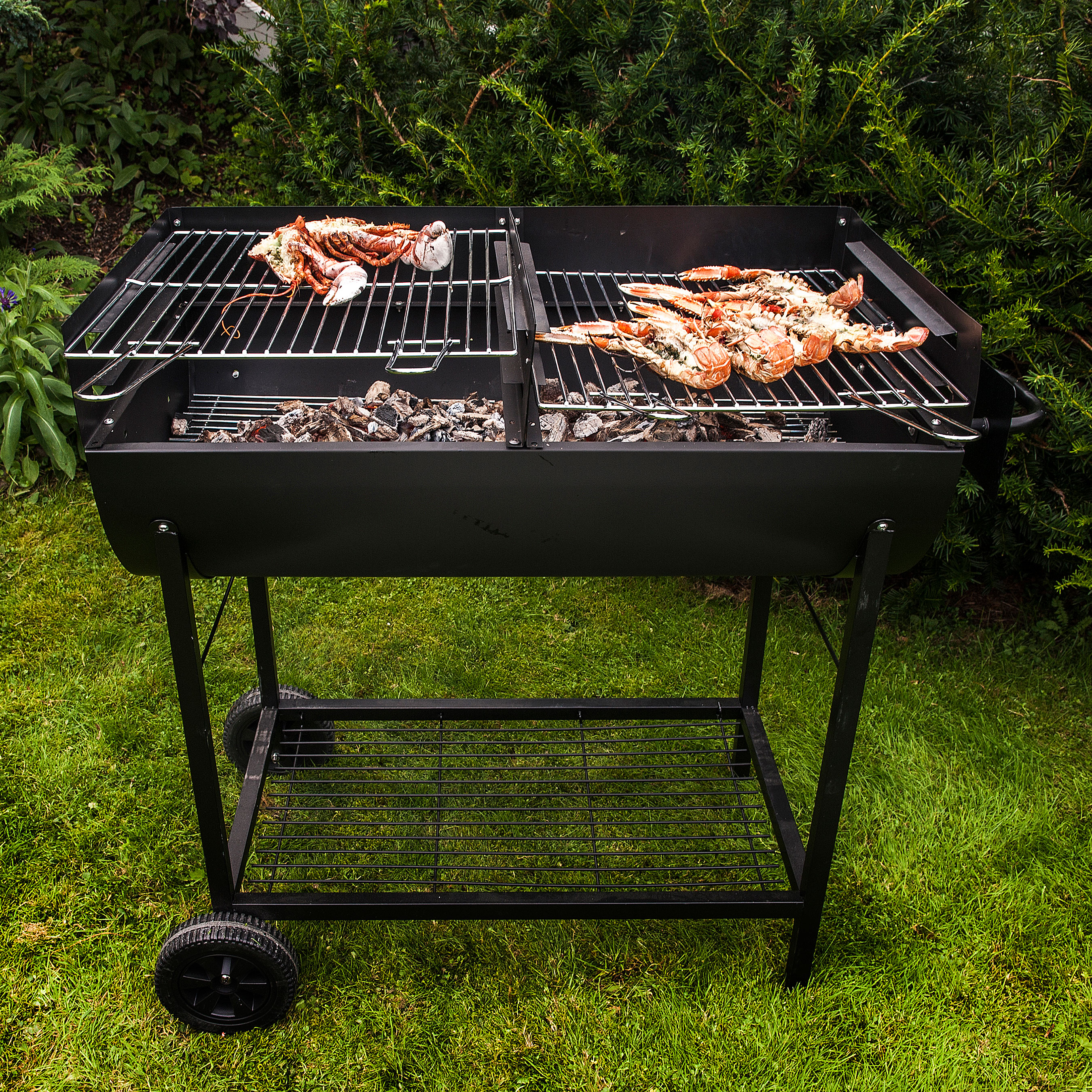 Kolgrill Sunwind Odis