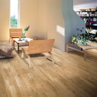 Ek palazzo rovere Ek palazzo rovere