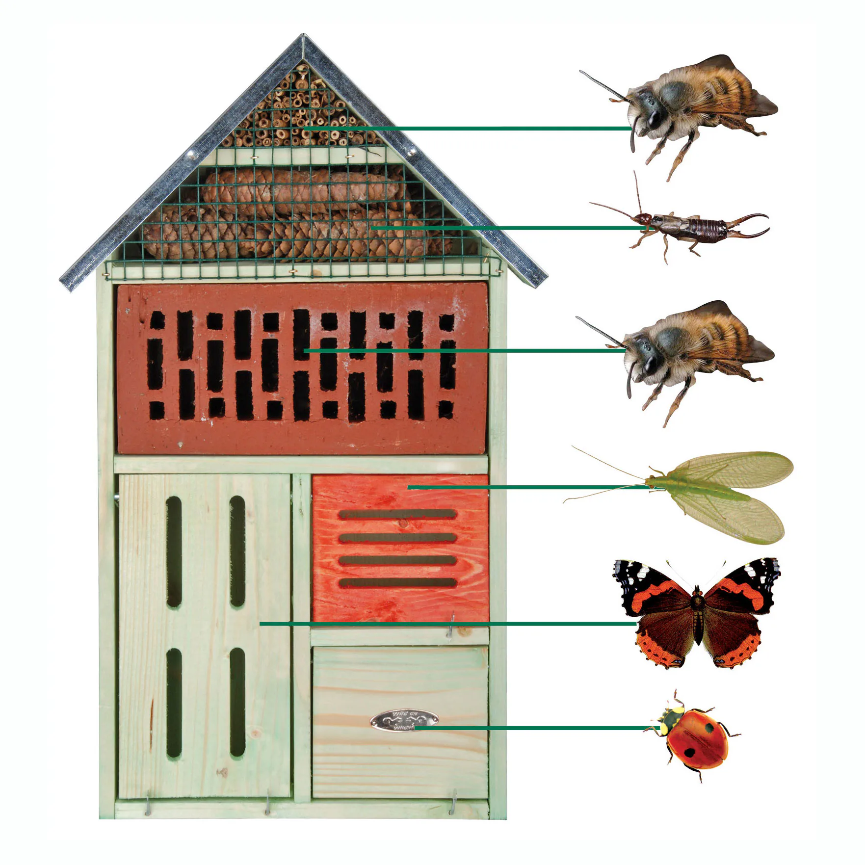För insekter