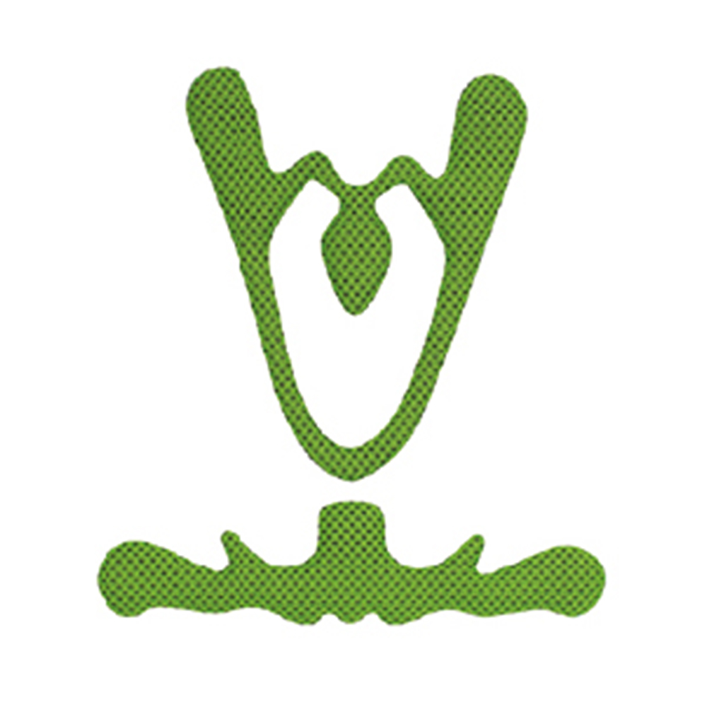 Hjälmkuddar Kask Rapido Grön