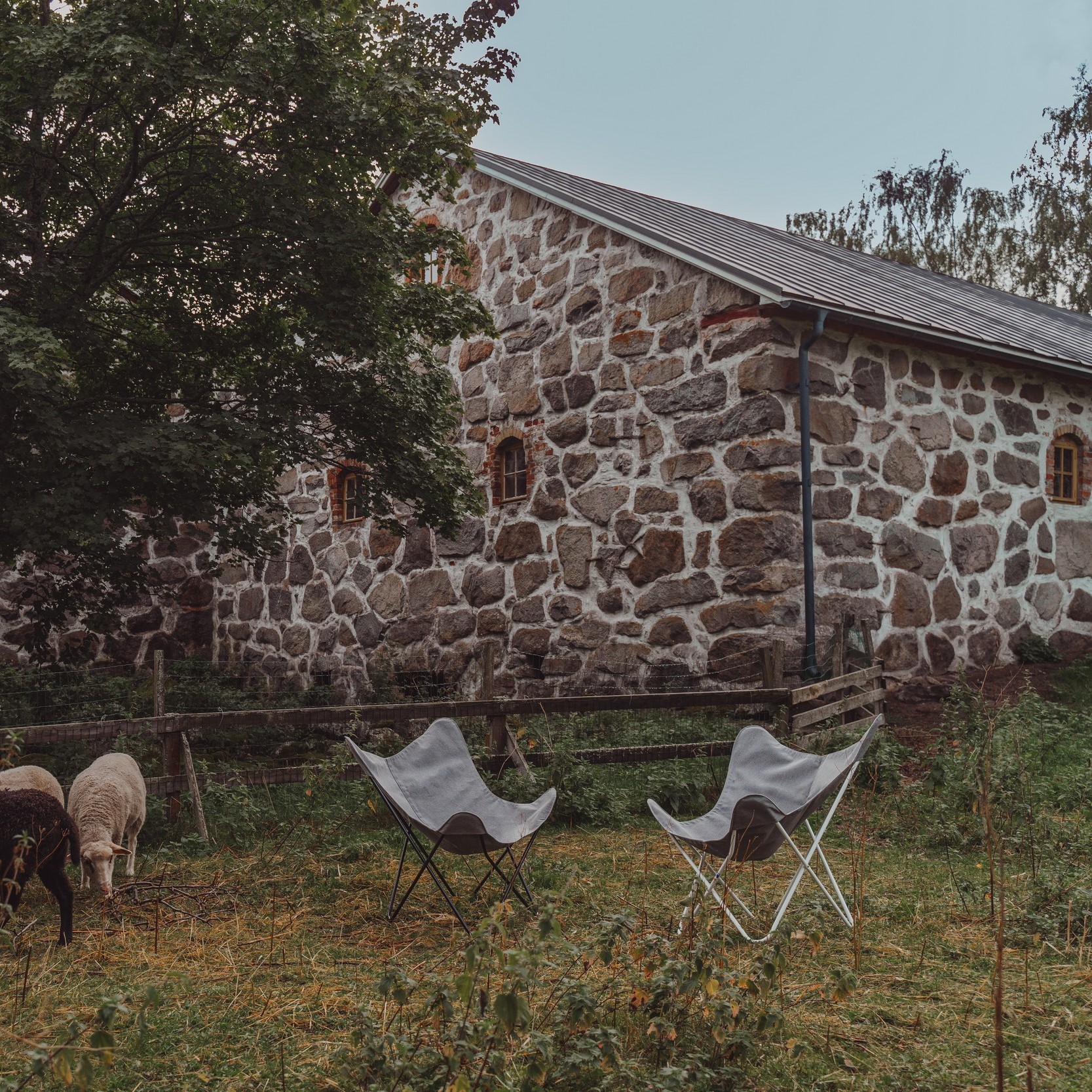 Tyg Varax till Fladdermusstolen