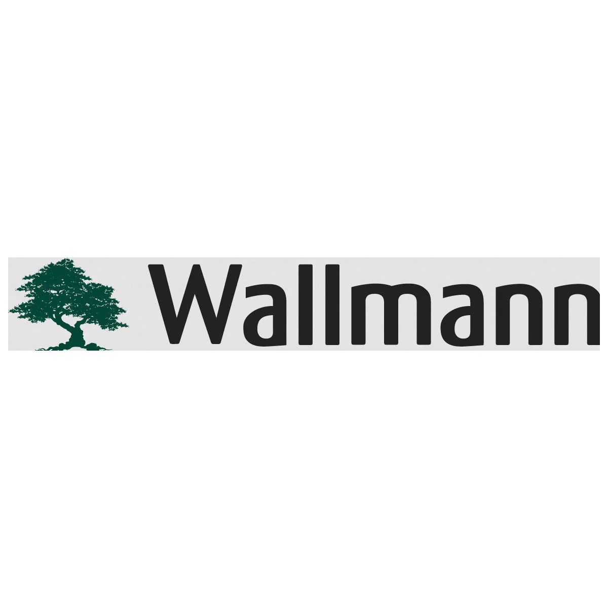 Wallmann logo