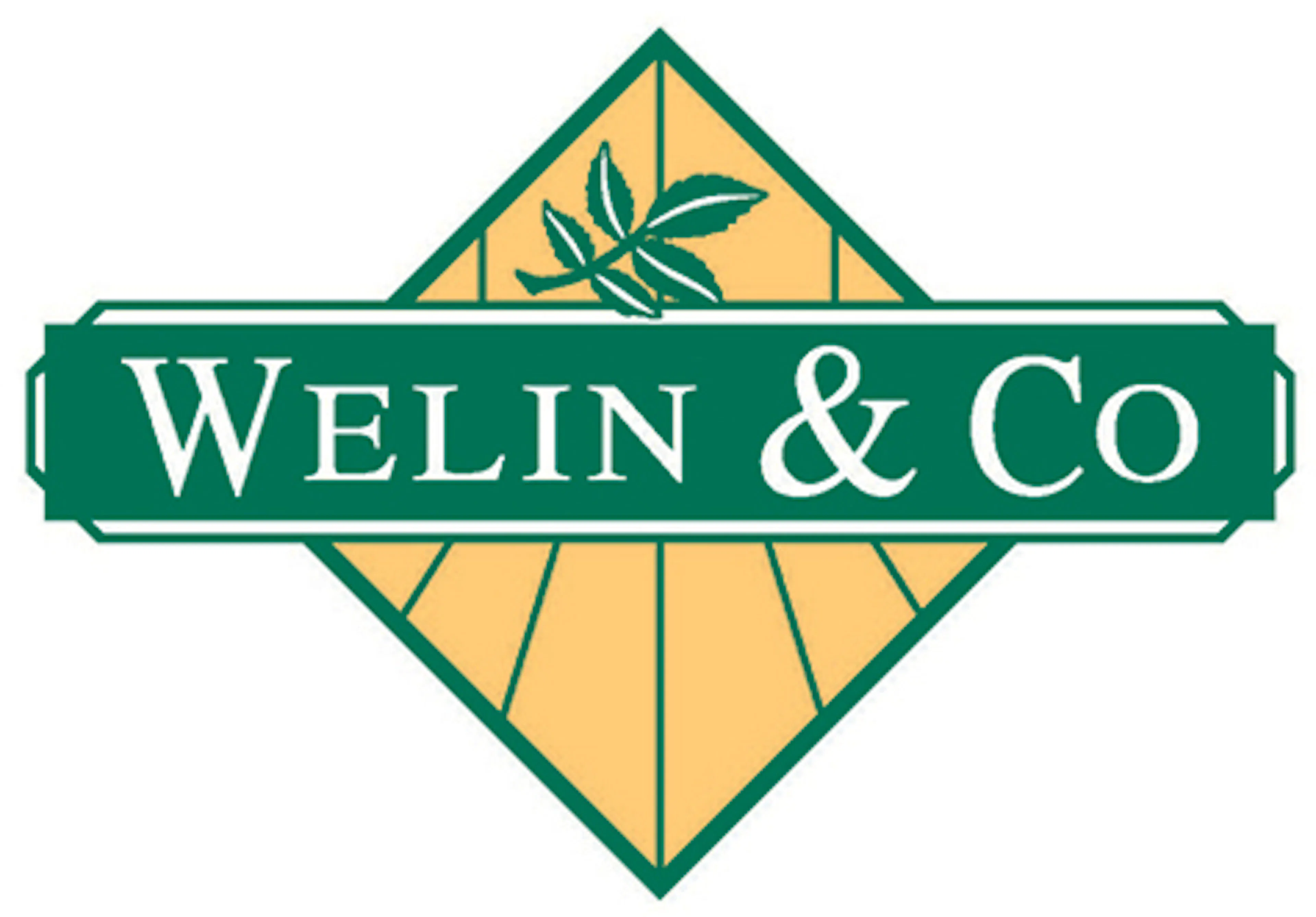 Welin logo