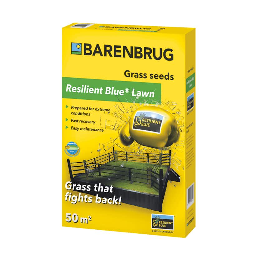 Gräsfrö Barenbrug Resilient Blue 1 kg