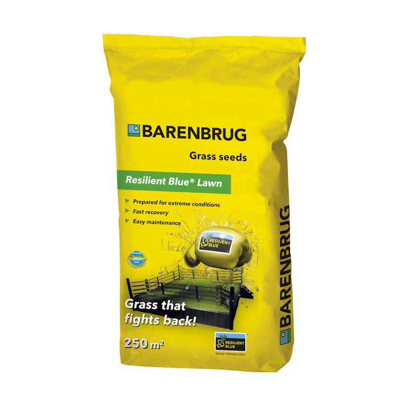 Gräsfrö Barenbrug Resilient Blue 5 kg
